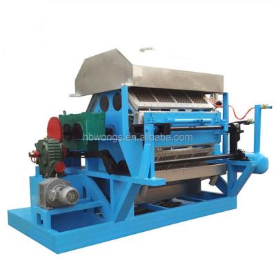 China Full Automatic Factory Paper Pulp Egg Tray Machine for sale