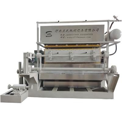 China Fully Automatic Factory Egg Tray Machine With Multi Layers Metallic Dryer for sale