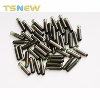 China TSNEW original ID48 (T6) glass transponder chip  For VW/Audi/Seat/Skoda TC-01B for sale