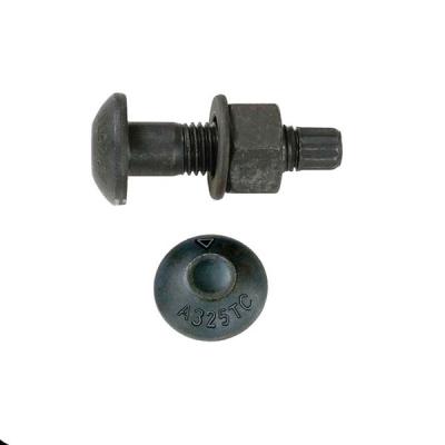 China Stainless Steel TC Bolt , Round Head Bolt for sale