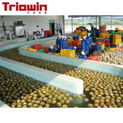 China High Efficiency Easy Operate Complete Canned Production Line Pineapple Machine for sale