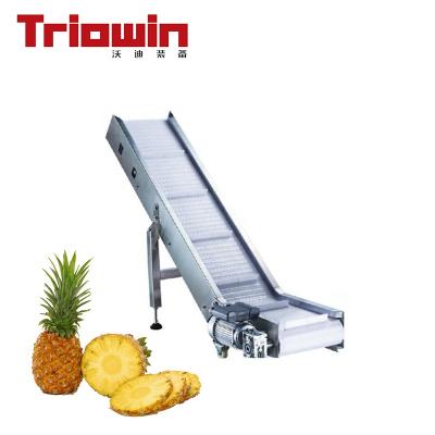 China High Efficiency Easy Operate Pineapple Juice Processing Plant for sale