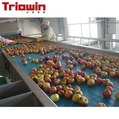 China High Efficiency Easy Operate Equipment Grape Wine Fruit Making Machine Processing Line for sale