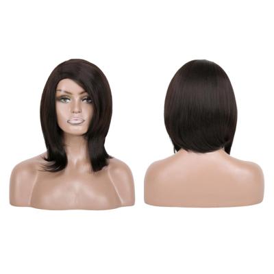 China Short Hair Silky Straight Synthetic Black Heat Resistant High Temperature Wigs Hair Wave Silk Wig for sale