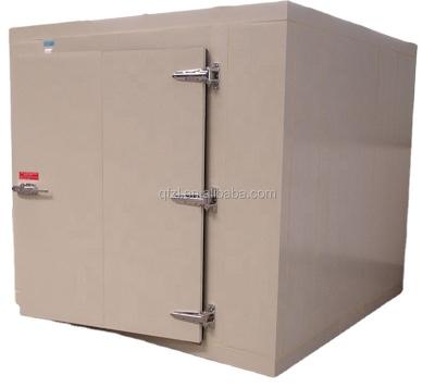 China Container cold room for meat storage for sale