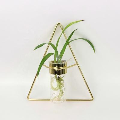 China Factory wholesale new classic/postmodern mini greenhouse metal black gold geometric glass vase for sale