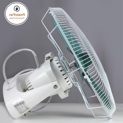 China Plastic + Metal Blade China Appliance Factory 220V 50W Remote Control Ceiling Fan 110V for sale