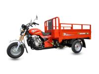 China Motocicleta abierta roja del cargo de la rueda del cuerpo 3, triciclo adulto 150ZH-H del cargo en venta