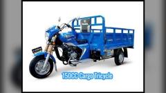 150CC Cargo Tricycle: Haul More, Earn More
