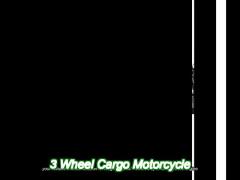 2.4m heavy loading 3 wheel cargo motorcycle 250cc 1400rpm