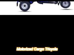gasoline 3 wheel cargo motorcycle 150cc air cooling motorized