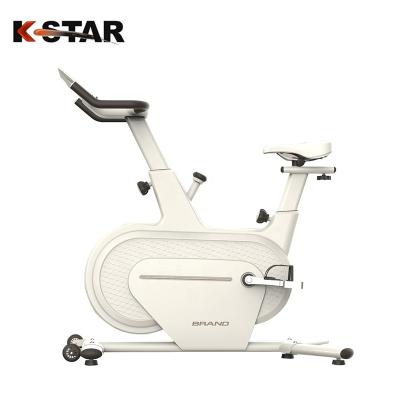 China High Quality Home Use Spinning Bike Home Use Fitness Exercise Spinning Indoor Bike for sale