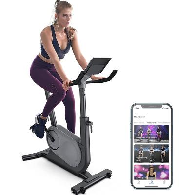 China Universal Professional Fitness Stomach Blazepod Training Set Equipment Fat Machine Apparatus Monitor 20kg Crank Flywheel Spin Bike for sale