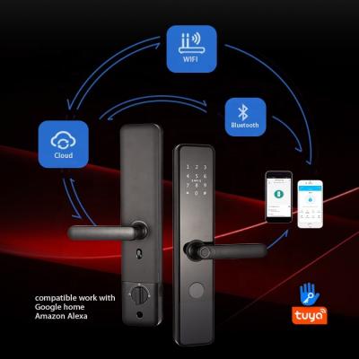 China Hotel Apartments Office Wifi Door Lock NFC Home Waterproof Biometric Fingerprint Door Handle Front Locks For Door for sale