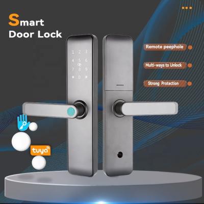 China Blue Smart Door Lock Fingerprint Door Lock Hotel Apartments Home Office TTT APP Locks For Front Entrance Wi-Fi Zigbee API Integrate for sale