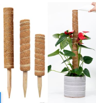 China Garden Accessories Coco Coir Poles Extending Indoor Train Plants Grow Upward for sale