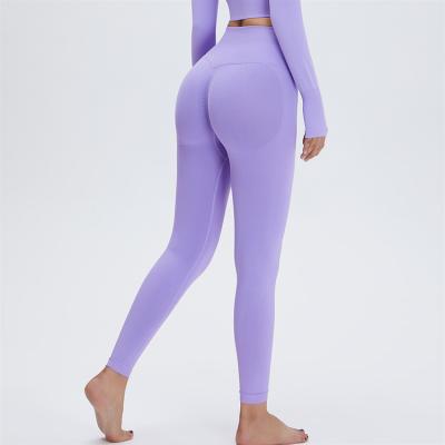 China Skin-Friendly Fit/Slim/2021 Autumn And Winter Woman Two New Piece High Waist Breathable Yoga Legging Pants for sale