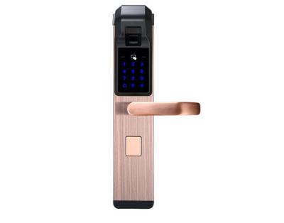 China Simple Design Stainless Steel Electronic Fingerprint Door Lock With Mobile App Unlock for sale