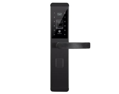 China Popular Family  Electronic Fingerprint Door Lock Exterior  Open By Mobile App for sale