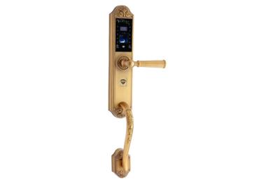 China Yellow Bronze IC Card Electronic Fingerprint Door Lock ,  Number Thumbprint Front Door Lock for sale