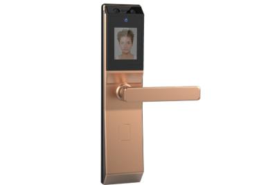 China Two Camera Face Recognition Door Entry  With  Mechanical Key 5 Unlock Way for sale