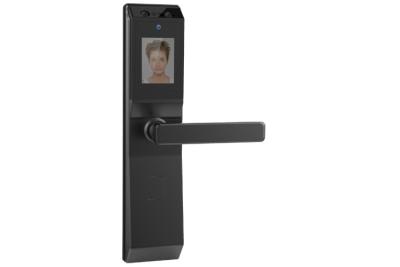 China Smart Facial Recognition Door Lock , Face Recognition Lock  Outdoor Security Door Install for sale