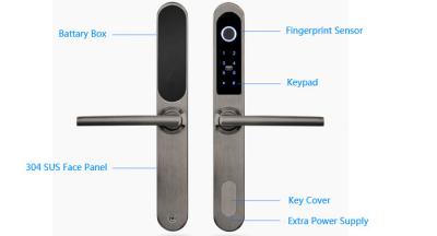 China Puerta de cristal de aluminio de la cerradura de puerta de 304 del acero inoxidable Digitaces de la huella dactilar/de la mortaja europea en venta