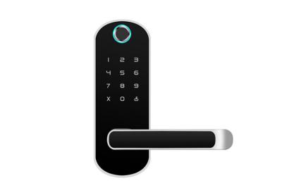 China Security Digital Door Lock , Wireless Bluetooth APP Combination Electronic Smart Lock WiFi for sale