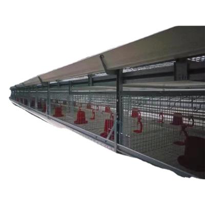 China Ayer Pengda Chicken Breeding Machine Chick Broiler Hens Chicken Poultry Breeding Houses Farm Equipment for sale