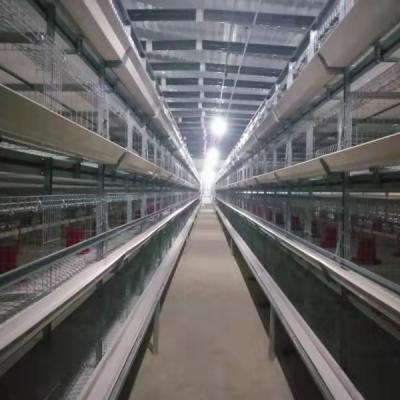 China Ayer Pengda Automatic Layer Cages Farm Poultry Battery Cages Chickens For Layers Chickens 20000 Birds for sale