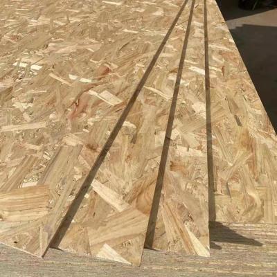 China Modern high strength osb 9mm 12mm 15mm 18mm for construction and decoration for sale