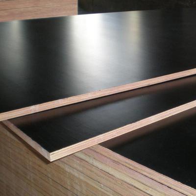 China Modern Experience Rich Finger Joint Film Faced Plywood for sale