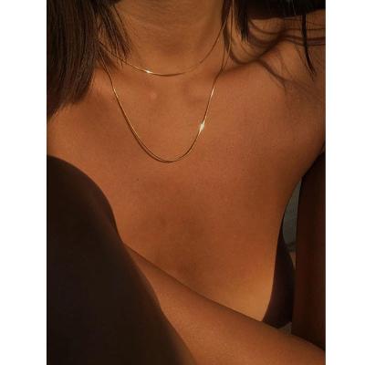 China Europe and America 18K PVD Gold Plated Stainless Steel 2 Layered Chain Necklace Jewelry Fashionable Delicacy Necklace for Women for sale