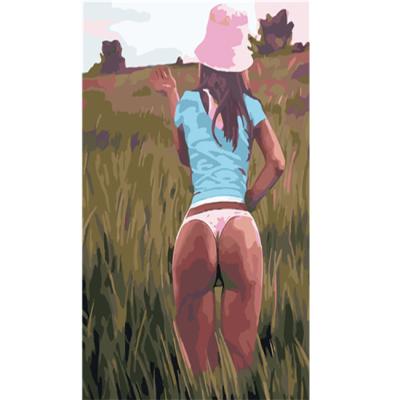 China Classical DIY Framed Decorative Oil Painting By Numbers On Canvas Sexy Girl Back Picture For Adult Home Decor for sale