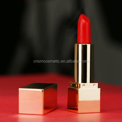 China A17 Waterproof Sunscreen OEM 2020 Lipstick Make Up Lipstick Lipstick Tint Top Seller Moisturizer Matte Lipstick for sale