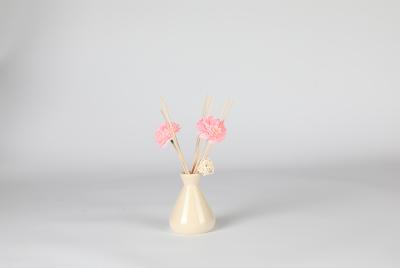 China Decorative Non Toxic Reed Diffuser en venta