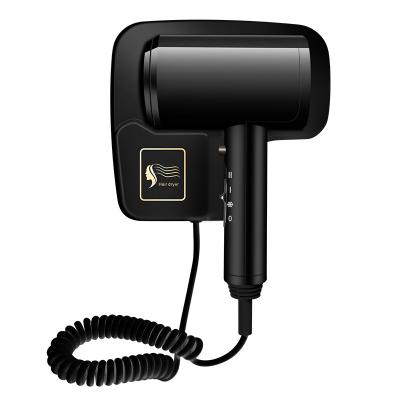 China 220V Lightweight Travel Hair Dryer , Nano Ionic Salon Hair Blower for sale