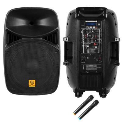 China 2021 Best Selling Portable Loud Bass Plastic Battery Speaker ELG15-BM100P2U7 Portable Speaker 15inch for sale