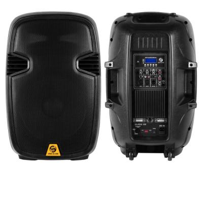 China Professional Audio Stage ELD15-BM150A 15 Inch PA Loud Bass Speaker Professional Audio for sale