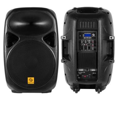 China Professional Audio 15 Inch Powered Sound Equipment Speaker Box Professional Audio Stage ELF15-BM150A for sale