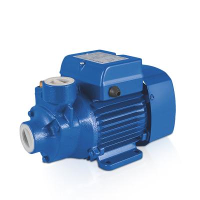 China Hot Selling Water Pump Pump The Water Farm Water Pump Intelligent Controller Vortex Pumps for sale