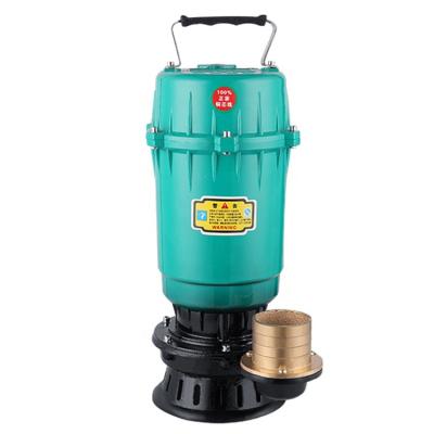 China Other 1hp 1 Inch Automatic Irrigation Systems Clean Water High Lift Single Stage Garden Submersible Pump for sale