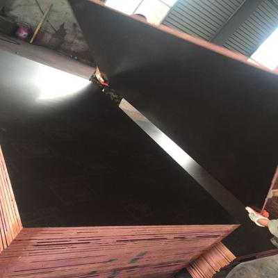 China Modern Marine Waterproof Plywood 18mm Brown Film Faced Plywood for sale