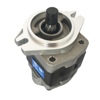 China Forklifts Forklift Parts Hydraulic Gear Pump For Dalian Forklift C240 ​​CBHZG-F23-AL L for sale