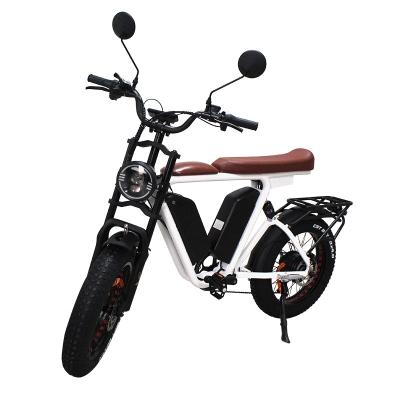 China Fat Tire E-Bike 1000w 44ah Electric Bike 20inch Aluminum Alloy 52V Urban Electric Bicycle 55km/h Adult Fatbike Dual Motor Battery for sale