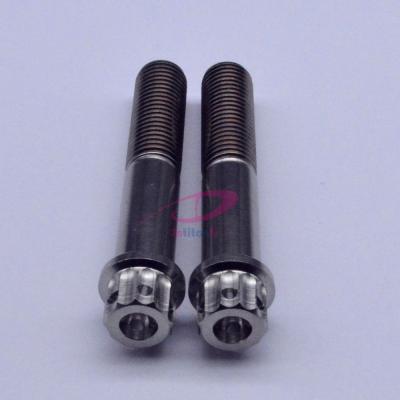 China Customized Type Titanium 12 Point Gr5 Titanium Alloy Head Gr5 Bolt for sale