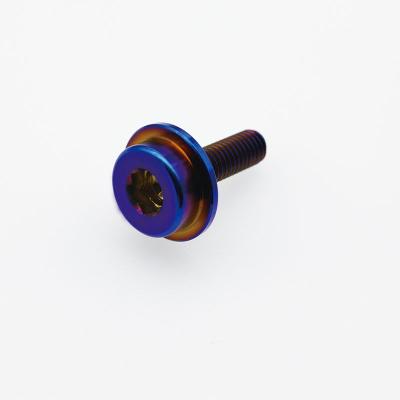 China Automotive Car Custom Blue Color Gr.5 Titanium Fastening Bolt For Automobile License Plate for sale