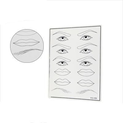 China Rubber Semi-Permanent Makeup Tattoo Practice Skin For Eyebrows, Eyeliner And Lips for sale