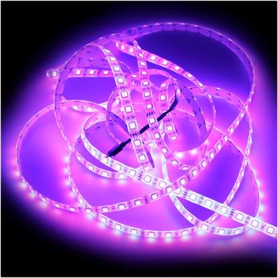 China 12V 5050 300 leds Waterproof 100m RGB LED Strip light for Outdoor Indoor with 3M tape 3 Year Warranty for sale