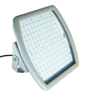 China HLG meanwell driver gas station ATEX IP68 UL cUL DLC 120W explosion proof led lighting for sale